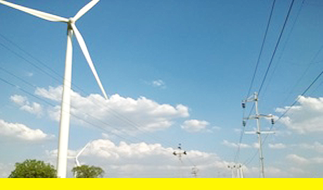 Mulalley goes carbon neutral