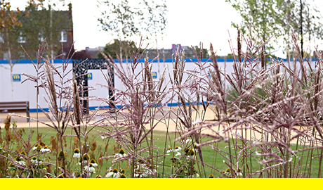 Lewisham Long-Term Contracts