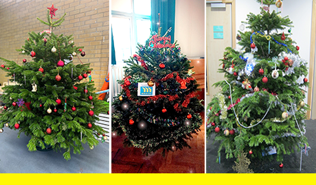 Mulalley donates Christmas trees across London