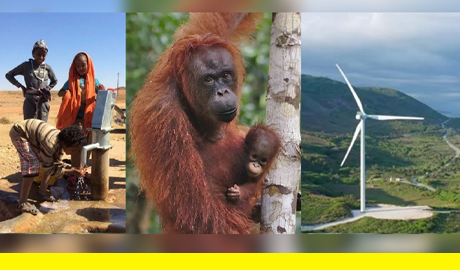 A Decade of Carbon Neutrality